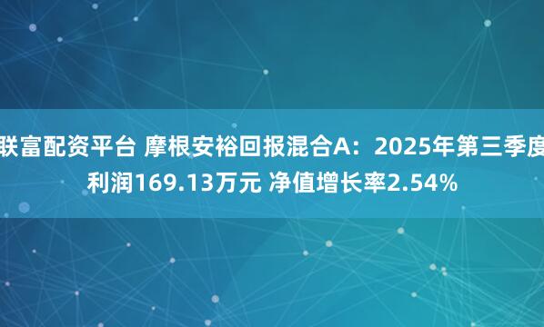 联富配资平台 摩根安裕回报混合A:2025年第三季度利润169.13万元 净值增长率2.54%
