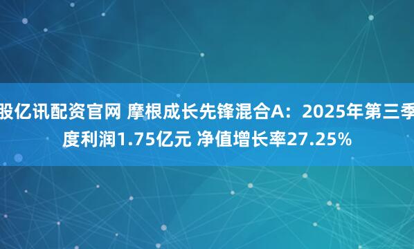 股亿讯配资官网 摩根成长先锋混合A:2025年第三季度利润1.75亿元 净值增长率27.25%